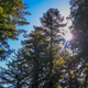 Image for article titled Hipcamp Wants To Be Airbnb For Camping